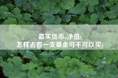 嘉实货币a净值(
怎样去看一支基金可不可以买)