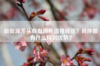 新能源龙头股有哪些值得投资？具体都有什么样的优势？