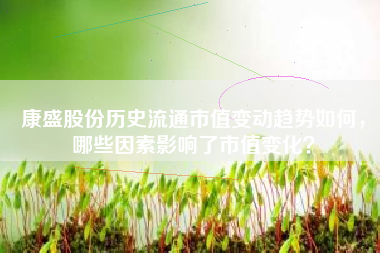 康盛股份历史流通市值变动趋势如何，哪些因素影响了市值变化？