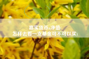 嘉实货币a净值(
怎样去看一支基金可不可以买)