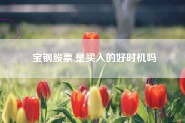 宝钢股票,是买入的好时机吗
