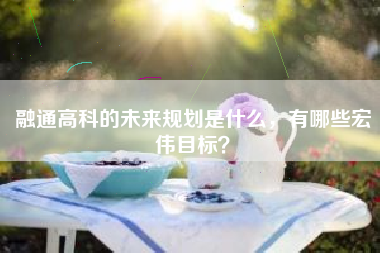 融通高科的未来规划是什么，有哪些宏伟目标？