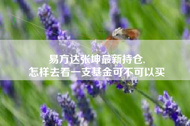 易方达张坤最新持仓,
怎样去看一支基金可不可以买