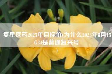复星医药2023年目标价(为什么2023年8月13G34是普通复兴号
) 复星医药2023年目标价(为什么2023年8月13G34是普通复兴号
)