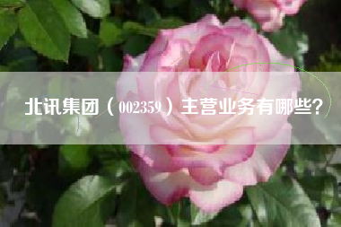 北讯集团（002359）主营业务有哪些？