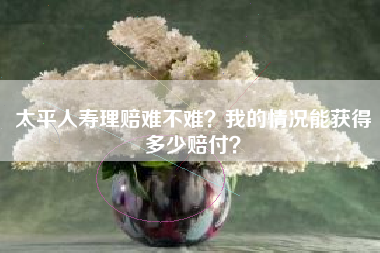 太平人寿理赔难不难？我的情况能获得多少赔付？