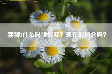 猛狮3什么时候能买？现在能加仓吗？