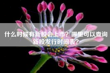 什么时候有新股会上市？哪里可以查询新股发行时间表？