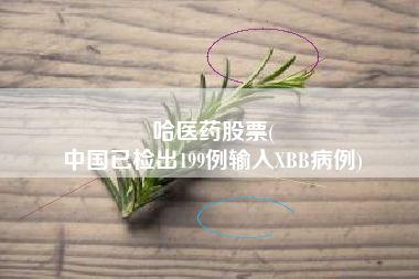 哈医药股票(
中国已检出199例输入XBB病例)