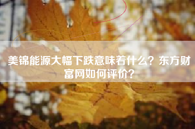 美锦能源大幅下跌意味着什么？东方财富网如何评价？