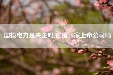 国投电力是央企吗,它是一家上市公司吗