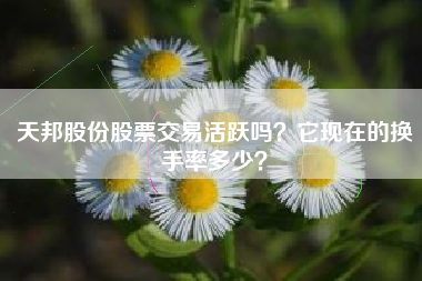 天邦股份股票交易活跃吗？它现在的换手率多少？
