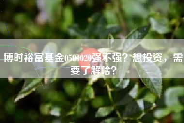 博时裕富基金0500020强不强？想投资，需要了解啥？