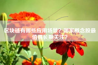 区块链有哪些应用场景？哪家概念股最值得长期关注？
