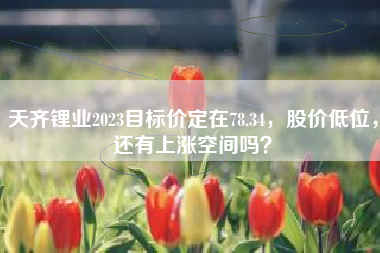 天齐锂业2023目标价定在78.34，股价低位，还有上涨空间吗？