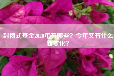 封闭式基金2020年有哪些？今年又有什么新变化？