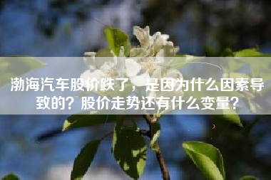 渤海汽车股价跌了，是因为什么因素导致的？股价走势还有什么变量？