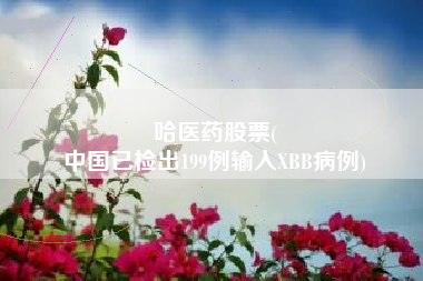 哈医药股票(
中国已检出199例输入XBB病例)