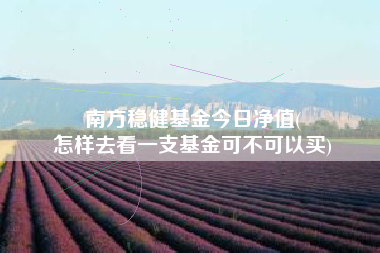 南方稳健基金今日净值(
怎样去看一支基金可不可以买)