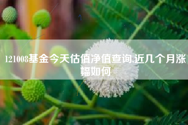 121008基金今天估值净值查询,近几个月涨幅如何