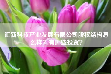 汇新科技产业发展有限公司股权结构怎么样？有哪些投资？