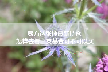 易方达张坤最新持仓,
怎样去看一支基金可不可以买