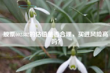 股票002382的估值是否合理，买进风险高吗？