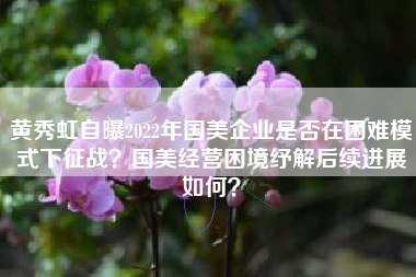 黄秀虹自曝2022年国美企业是否在困难模式下征战？国美经营困境纾解后续进展如何？