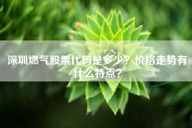 深圳燃气股票代码是多少？价格走势有什么特点？