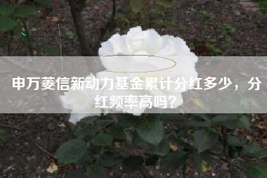 申万菱信新动力基金累计分红多少，分红频率高吗？