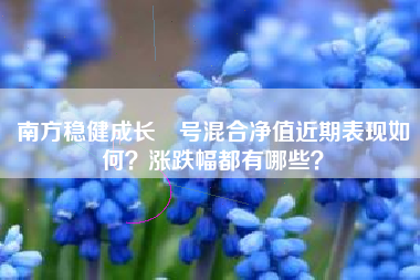 南方稳健成长貳号混合净值近期表现如何？涨跌幅都有哪些？