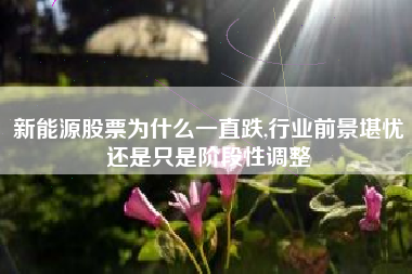 新能源股票为什么一直跌,行业前景堪忧还是只是阶段性调整