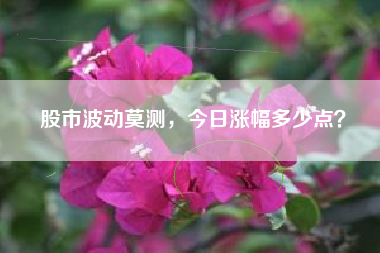 股市波动莫测，今日涨幅多少点？