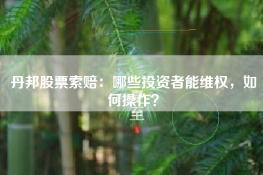 丹邦股票索赔：哪些投资者能维权，如何操作？