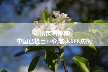 哈医药股票(
中国已检出199例输入XBB病例)