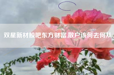 双星新材股吧东方财富,散户该何去何从