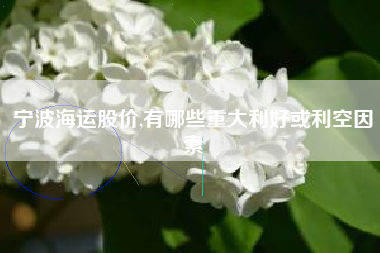 宁波海运股价,有哪些重大利好或利空因素