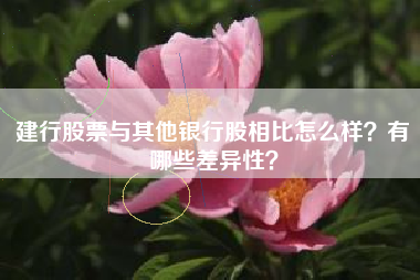 建行股票与其他银行股相比怎么样？有哪些差异性？