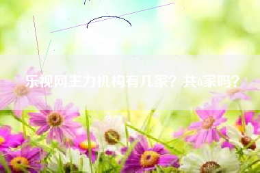 乐视网主力机构有几家？共6家吗？