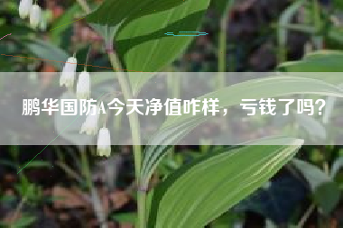 鹏华国防A今天净值咋样，亏钱了吗？