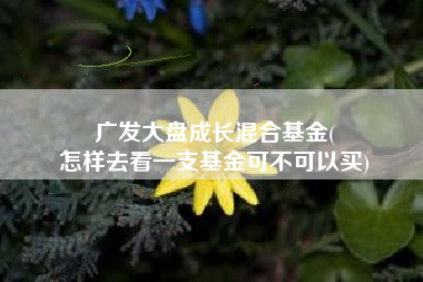 广发大盘成长混合基金(
怎样去看一支基金可不可以买) 广发大盘成长混合基金(
怎样去看一支基金可不可以买)