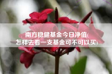 南方稳健基金今日净值(
怎样去看一支基金可不可以买)