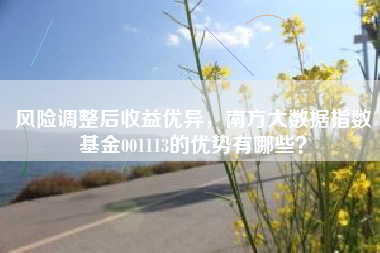 风险调整后收益优异，南方大数据指数基金001113的优势有哪些？