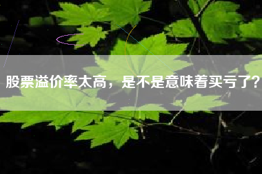 股票溢价率太高，是不是意味着买亏了？