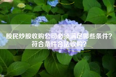 股民炒股收购公司必须满足哪些条件？符合条件合法收购？