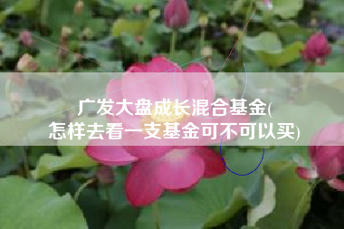 广发大盘成长混合基金(
怎样去看一支基金可不可以买) 广发大盘成长混合基金(
怎样去看一支基金可不可以买)