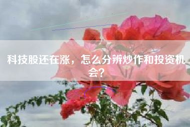 科技股还在涨，怎么分辨炒作和投资机会？