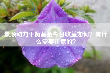 景顺动力平衡基金今日收益如何？有什么需要注意的？