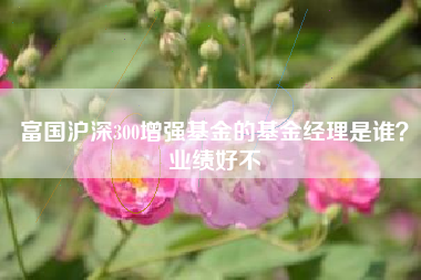 富国沪深300增强基金的基金经理是谁？业绩好不