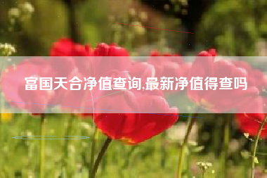 富国天合净值查询,最新净值得查吗